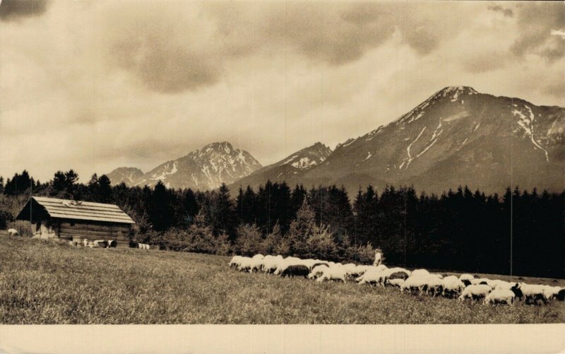 Czech Republic Slavkoským Slavkovský les Vintage RPPC 08.15