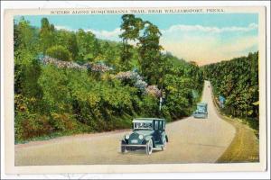 Susquehanna Trail, Williamsport PA