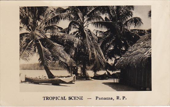 Panama Tropical Beach Scene Real Photo