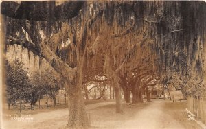 J35/ St Augustine Florida RPPC Postcard c1910 Garnett's Grove Trees Home 46