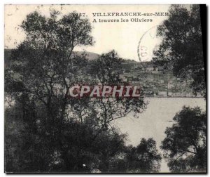 Old Postcard Villefranche Sur Mer A Travers les Oliviers