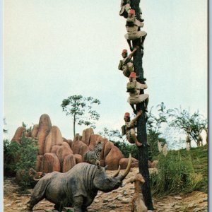 c1970s Walt Disney World, FL Trapped Safari Hunters African Rhinoceros Fla. A201