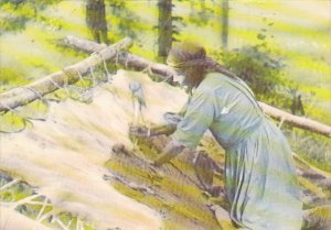 Canada Indian Lady Preparing Moose Hide For Tanning