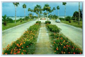 c1960's Flowerlined Causeway Connecting Clearwater Clearwater Beach FL Postcard