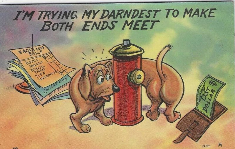 1950's Comical Funny Dog Fire Hydrant Postcard 