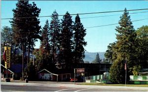 MOUNT SHASTA, CA California  MOUNTAIN AIR LODGE   c1960s   Roadside   Postcard