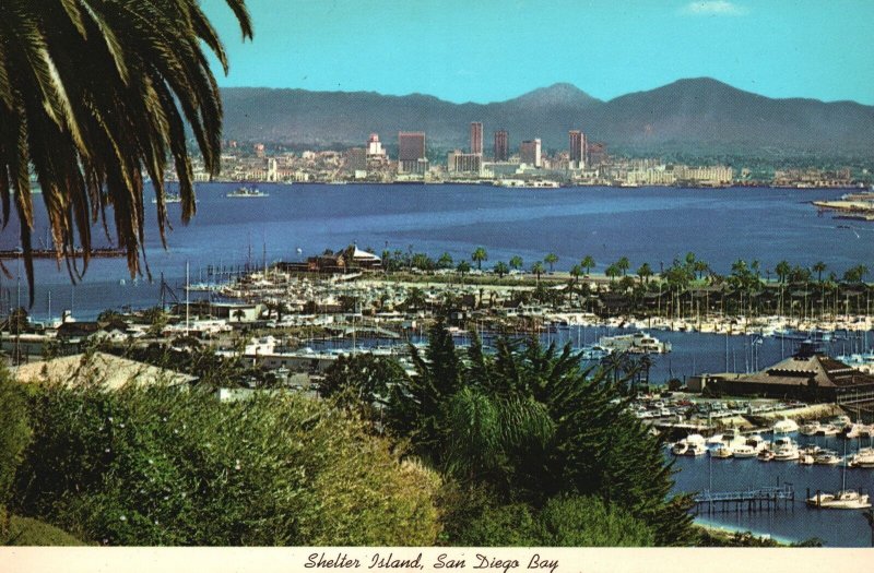 Vintage Postcard San Diego Bay Shelter Island Skyline From Point Loma California