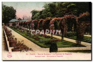 Old Postcard Paris Bois de Boulogne The Rose Garden Bagatelle