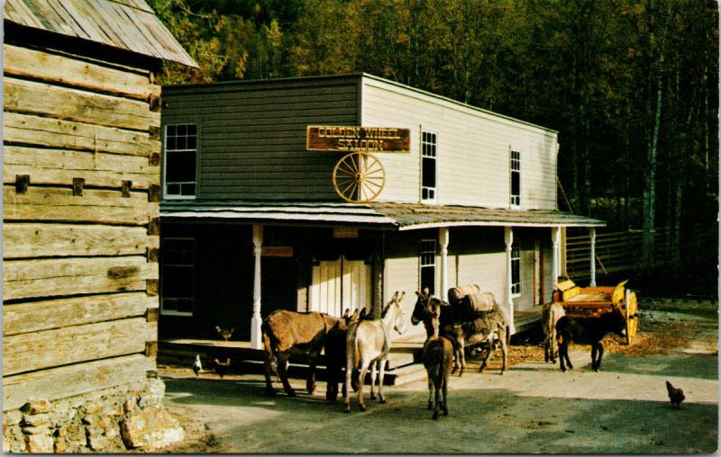Golden Wheel Saloon Revelstoke BC Three Valley Gap Mules Postcard D70