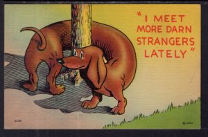 I Meet More Darn Strangers Lately Dog Comic