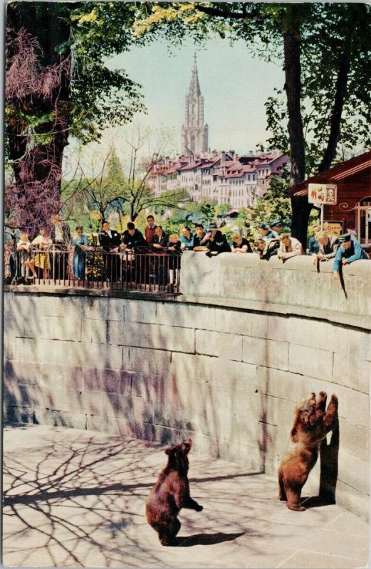 Bears Bern Barengraben mit Munster Switzerland Unused Postcard G85