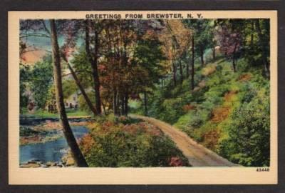 NY Greetings from BREWSTER NEW YORK PC Postcard