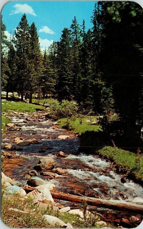 Singing Mountain Stream Snowy Range Country Wyoming WY Postcard Dexter VTG UNP  