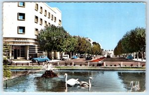 KENITRA Avenue de la Marne MOROCCO 1960 Postcard