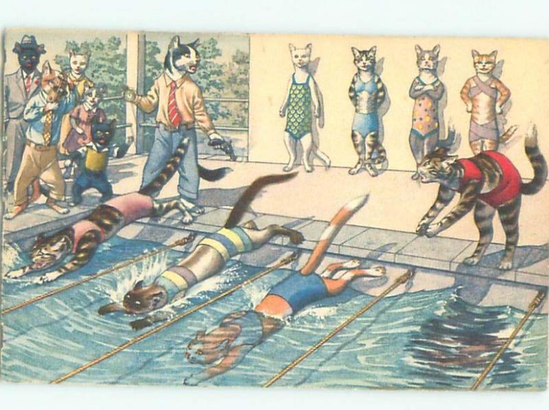 Pre-1980 Mainzer Cats - Printed In Switzerland HAVING SWIM RACES AC6737