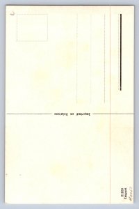 J98/ Teddy Bear Interesting Postcard c1910 Child Belgium Shadow 310