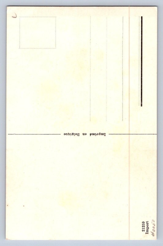 J98/ Teddy Bear Interesting Postcard c1910 Child Belgium Shadow 310