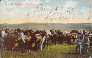 Round up Horses Rope Corral Farming 1907 writing on front