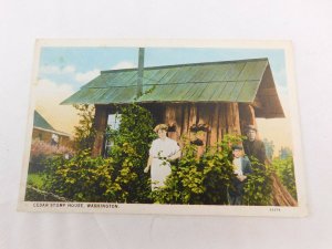 C.1910-20 The Cedar Stump House, Washington Vintage Postcard P28 