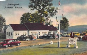 SEARSPORT LOBSTER POUND MAINE ADVERTISING POSTCARD (c. 1940s)