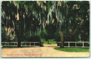 Spanish Moss Entrance to Riverside Park Jacksonville FL 1910 DB Postcard F9