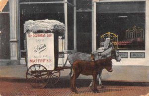 Schmitz Mattress Store and Donkey Cart Advertising Vintage Postcard JH230801