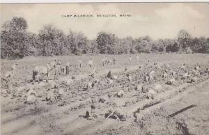 Maine Bridgton Camp Milbrook Artvue
