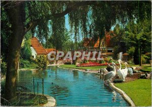 Postcard Modern Adinkerke Meli Park Residence failure of Pelicans