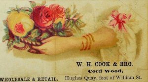 1870's-80's W. H Cook & Bro Steam Saw Mill  Cord Wood Lady's Arm Roses P67