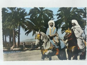 Vintage RP Postcard Morrocans on Horseback in the desert Morroco