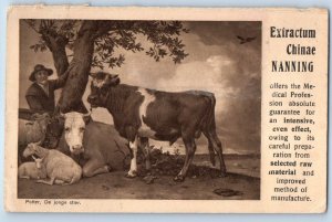 The Hague Netherlands Postcard Extractum Chinae Nanning Quack Medicine 1912 Ad