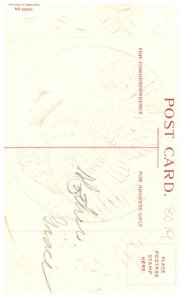 Thanksgiving   Tom Turkey