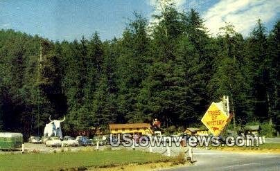 Trees of Mystery - Redwood Highway, CA