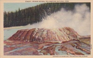 Wyoming Yellowstone National Park Sponge Geyser 1947