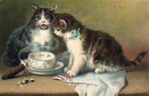 PC CATS, TWO CATS WITH CHINA AND A CIGAR, Vintage Postcard (b46986)