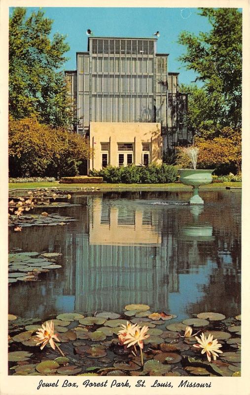 St Louis Missouri~Forest Park-Jewel Box~Fountain in Pond~Blooming Lily Pads~1962