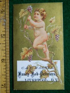 1880s Adorable Cherub Picking Grapes Vine, C. & J. Warner Fancy Job Printers F32