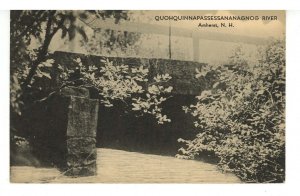 NH - Amherst. Quohquinnapassessananagnog River