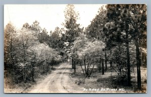 SOUTHERN PINES NC ANTIQUE REAL PHOTO POSTCARD RPPC