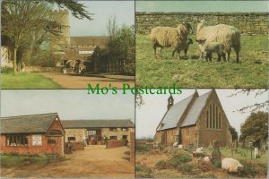 Northamptonshire Postcard - Views of Stowe Nine Churches RR12215