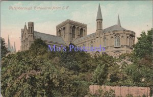 Cambridgeshire Postcard - Peterborough Cathedral  SW13842
