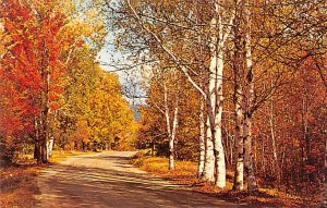 Unidentified View Postcard