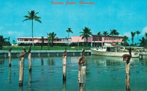 USA Visitors Center Flamingo Everglades National Park Vintage Postcard 07.44