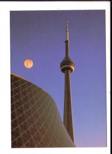 CN Tower, Toronto, Ontario, Large, 5 X 7 Postcard,