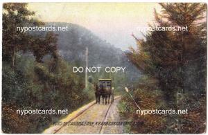 Stage & Road to Canada Lake NY