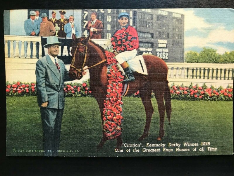 Vintage Postcard 1949 "Citation" 1948 Derby Winner Calumet Farms