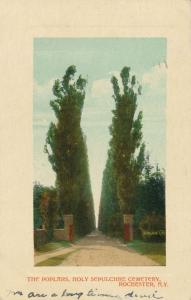 The Poplars at Holy Sepulchre Cemetery, Rochester, New York - pm 1911 - DB