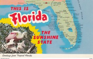 Map , Florida , 1950-60s