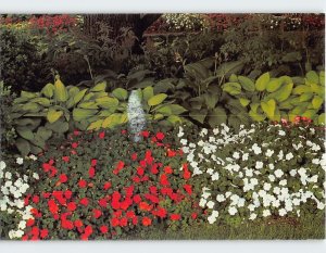 Postcard Beautiful Impatiens Graf Growers Akron Ohio USA