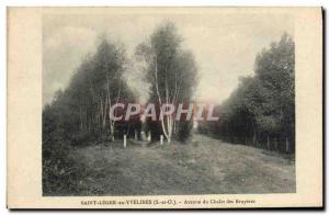 Old Postcard St Leger en Yvelines Avenue du Chalet des Bruyeres